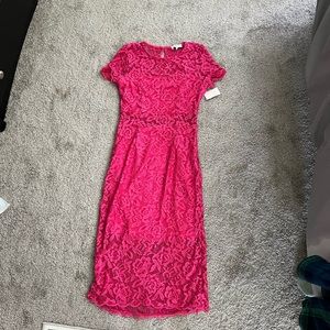 NSR Stretch lace dress